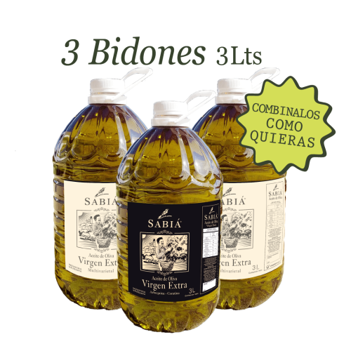 Promo 3 Bidones 3L - Armá tu pack