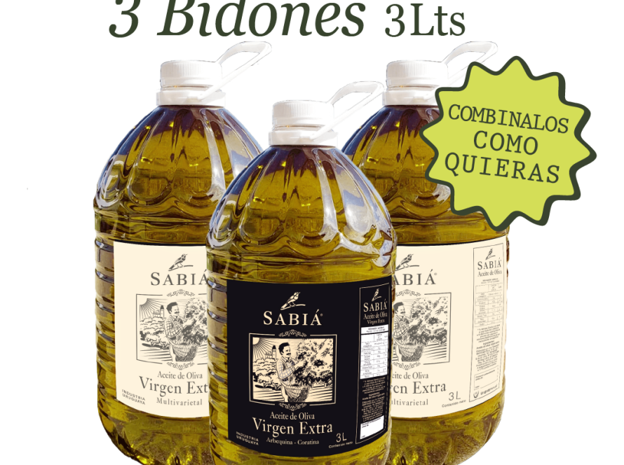 Promo 3 Bidones 3L - Armá tu pack