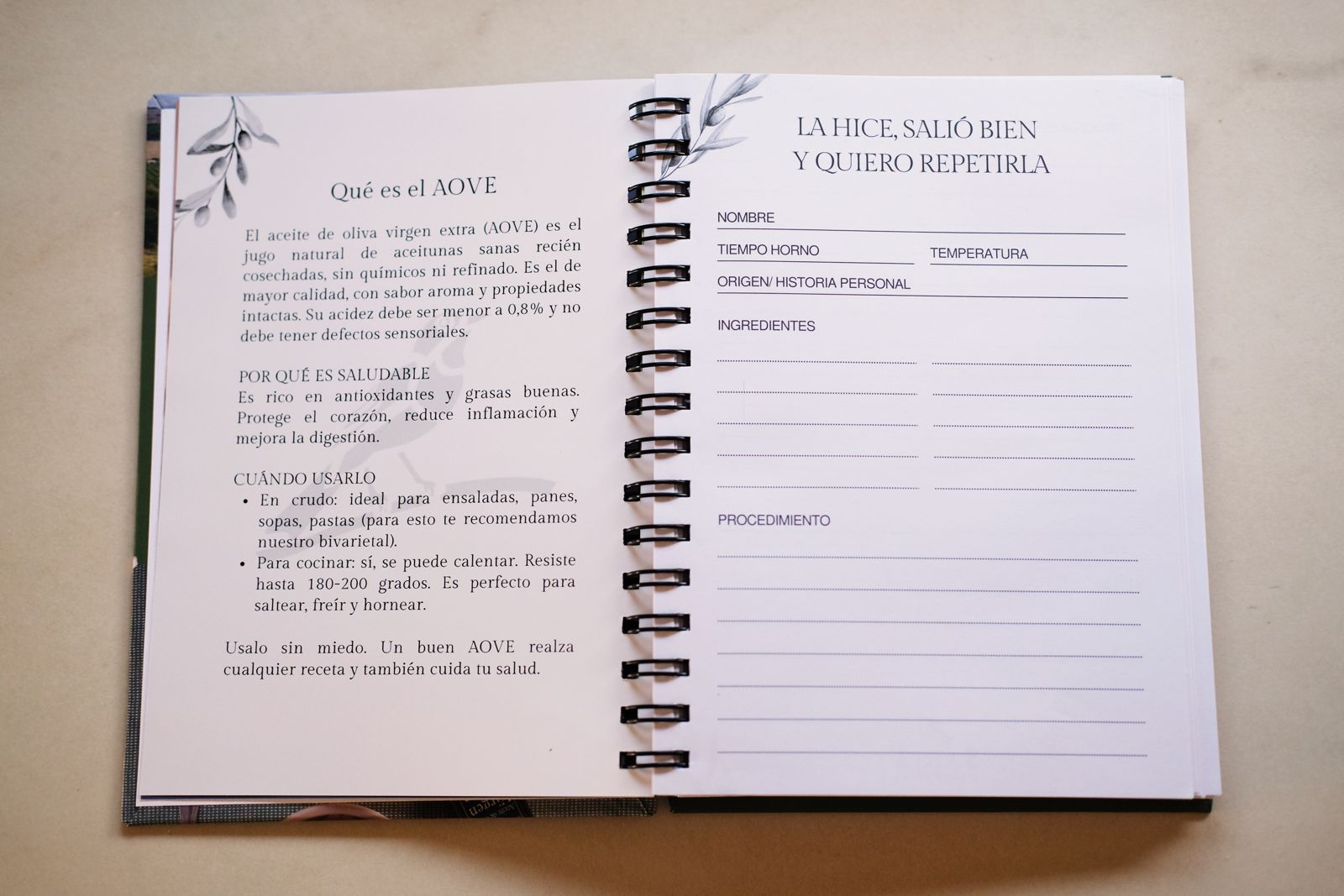 Pack Aceitunas + Recetario - Imagen 6