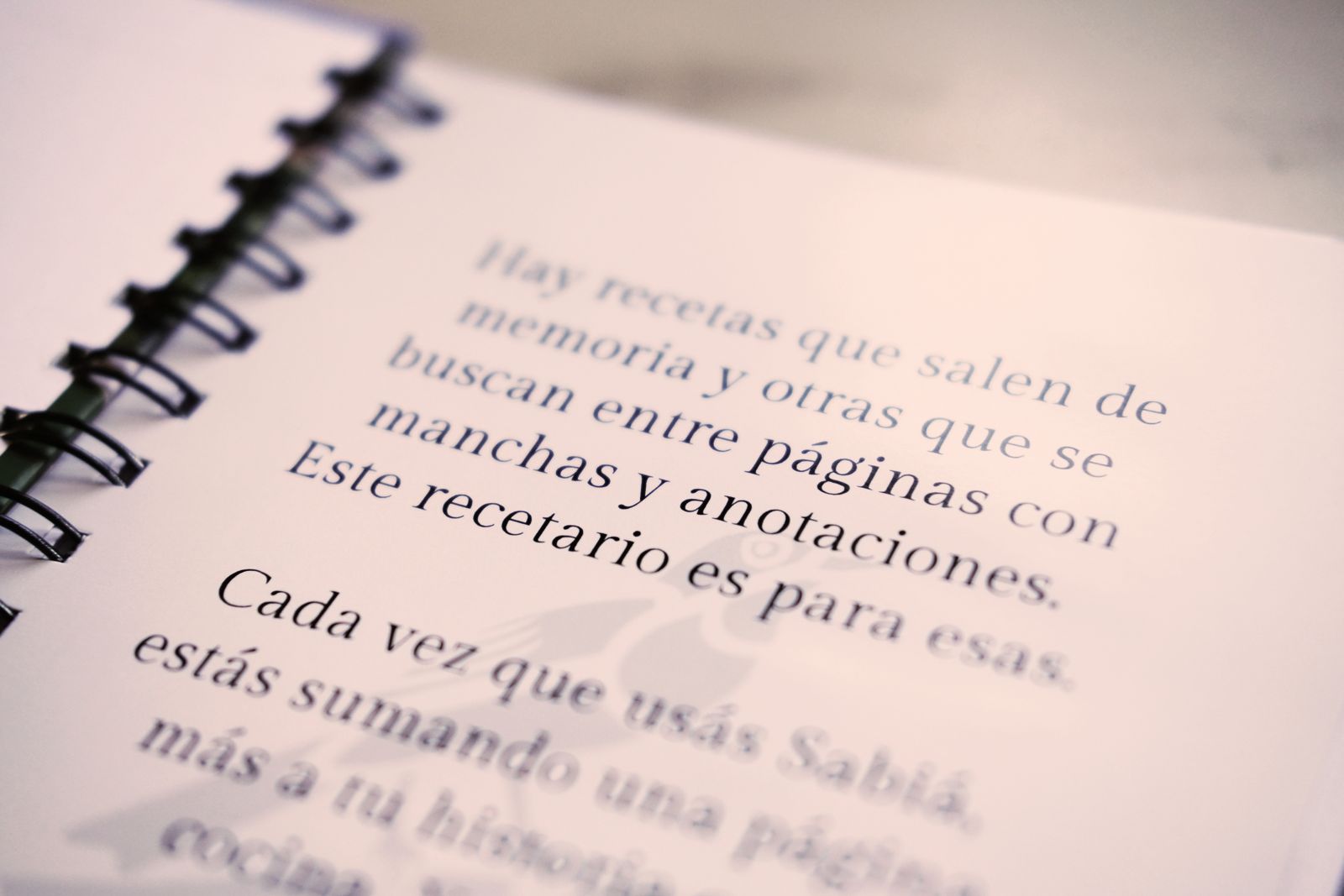 Pack Aceitunas + Recetario - Imagen 5