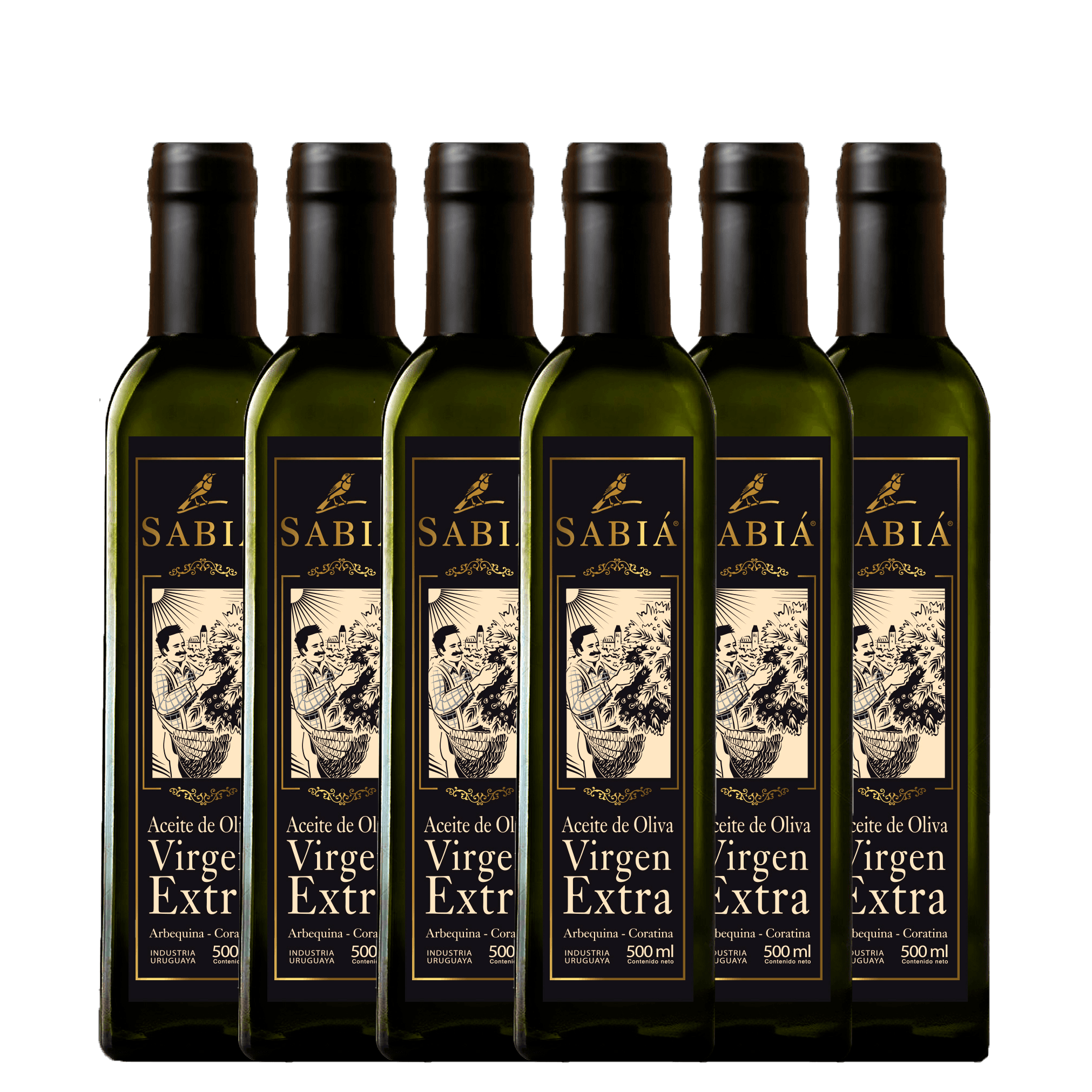 Botella x6 Botellas Bivarietal